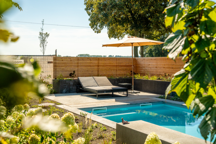 Blick durch Beete auf Pool am Niederrhein im Sommer