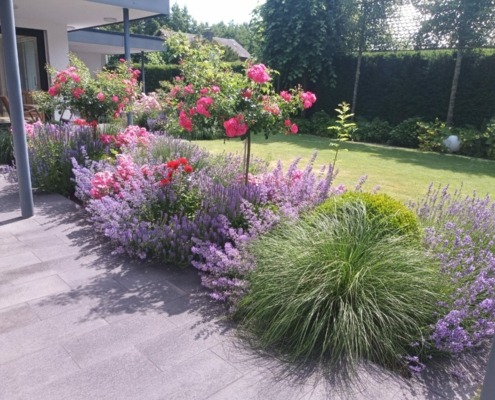 Moderner Garten mit Terrasse und Bepflanzung in Kevelaer